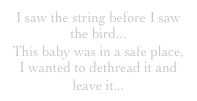 I saw the string before I saw the bird...
This baby was in a safe place,  I wanted to dethread it and leave it...