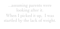 ...assuming parents were looking after it.
When I picked it up,  I was startled by the lack of weight.