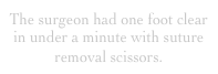 The surgeon had one foot clear in under a minute with suture removal scissors.