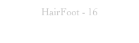 HairFoot - 16