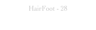 HairFoot - 28