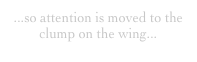 ...so attention is moved to the clump on the wing...