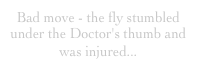 Bad move - the fly stumbled under the Doctor's thumb and was injured...