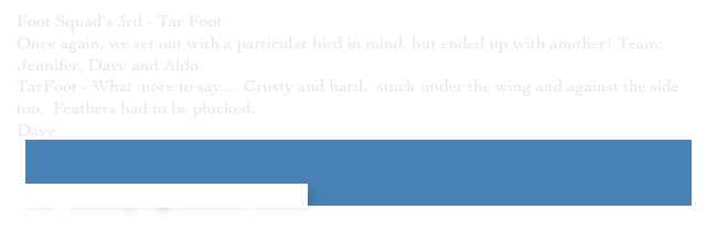 Foot Squad's 3rd - Tar Foot Once again, we set out with a particular bird in mind, but ended up with another! Team: Jennifer, Dave and Aldo
TarFoot - What more to say...  Crusty and hard,  stuck under the wing and against the side too.  Feathers had to be plucked.
Dave￼


 New York City Pigeon Rescue Central