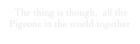  The thing is though,  all the Pigeons in the world together 