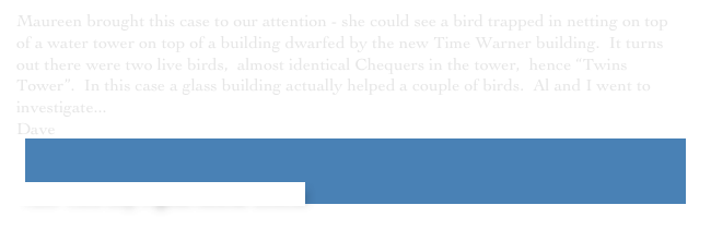 Maureen brought this case to our attention - she could see a bird trapped in netting on top of a water tower on top of a building dwarfed by the new Time Warner building.  It turns out there were two live birds,  almost identical Chequers in the tower,  hence “Twins Tower”.  In this case a glass building actually helped a couple of birds.  Al and I went to investigate...￼
Dave


 New York City Pigeon Rescue Central